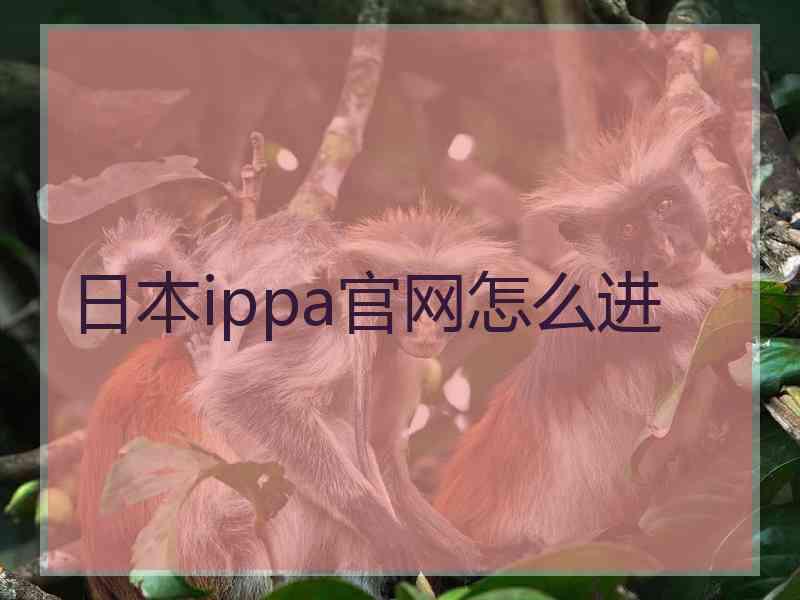 日本ippa官网怎么进