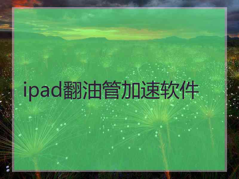 ipad翻油管加速软件