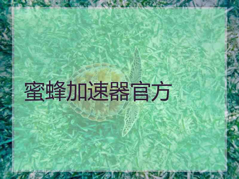 蜜蜂加速器官方