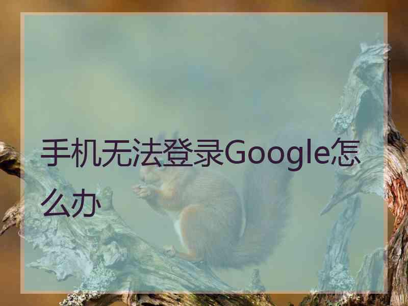 手机无法登录Google怎么办