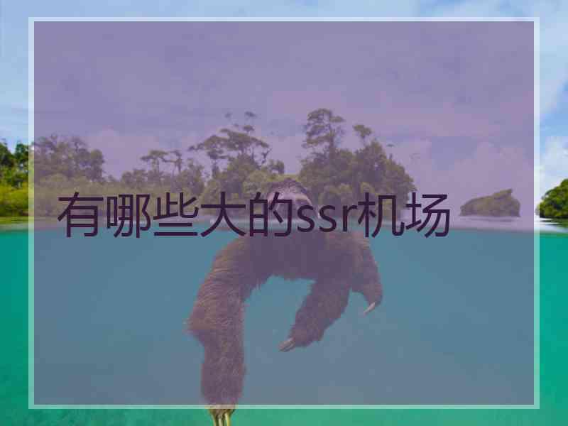 有哪些大的ssr机场