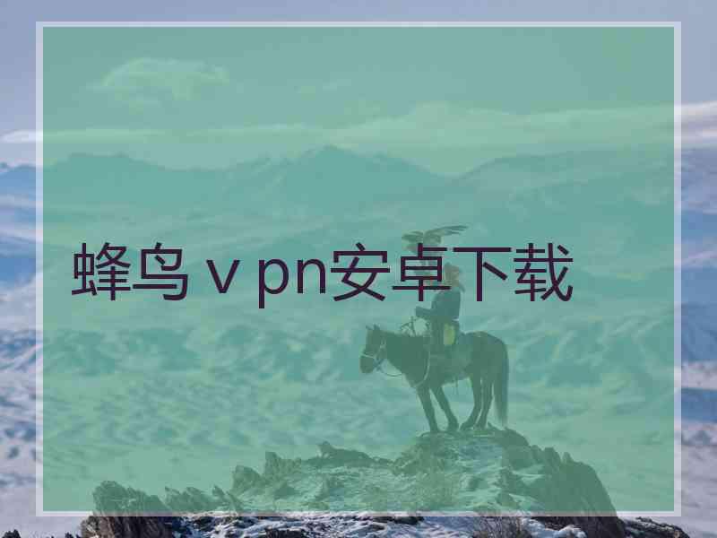 蜂鸟ⅴpn安卓下载