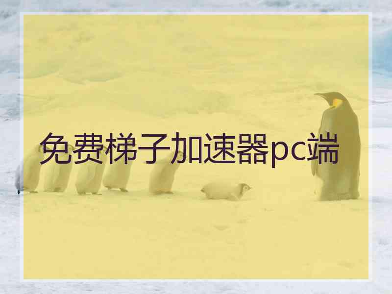 免费梯子加速器pc端