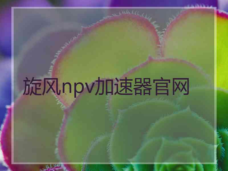 旋风npv加速器官网