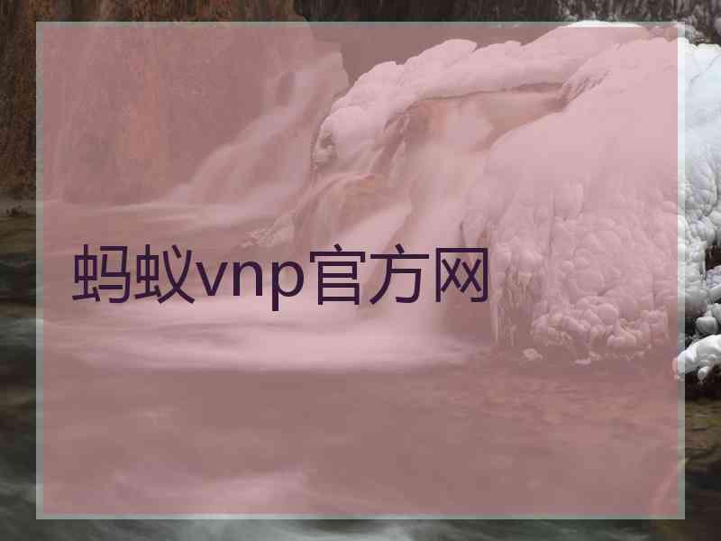 蚂蚁vnp官方网