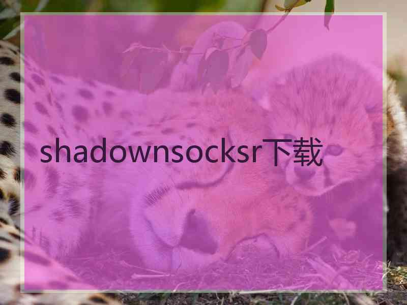 shadownsocksr下载