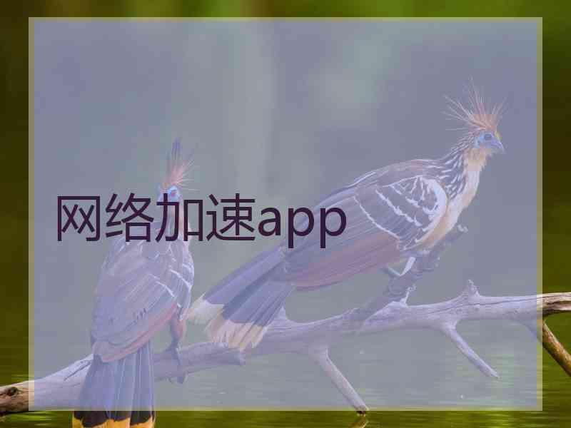 网络加速app