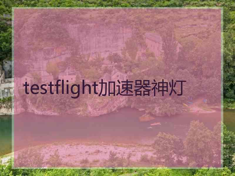 testflight加速器神灯