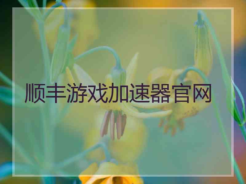 顺丰游戏加速器官网