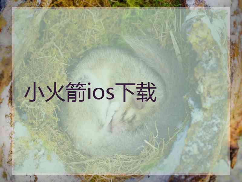 小火箭ios下载