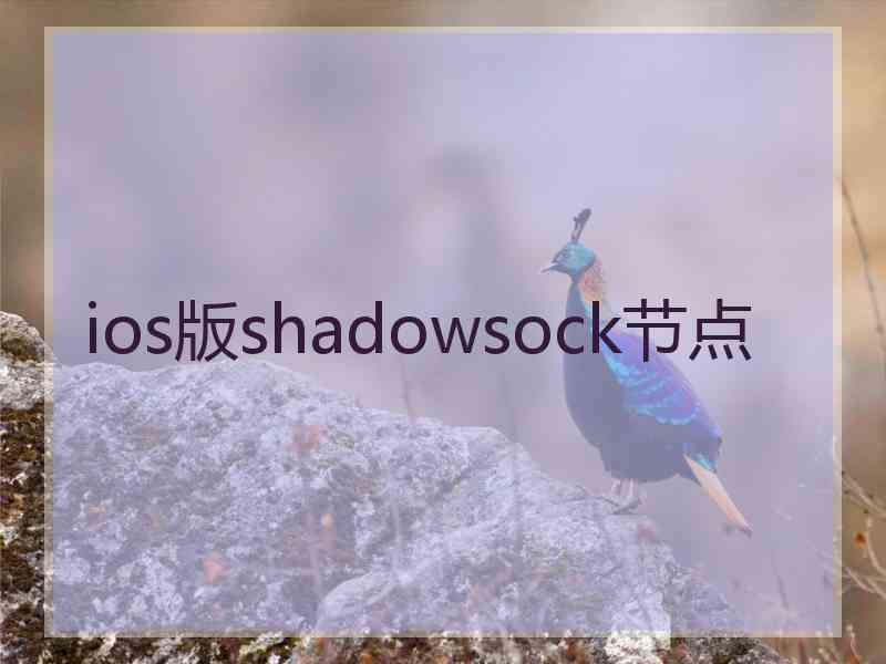 ios版shadowsock节点