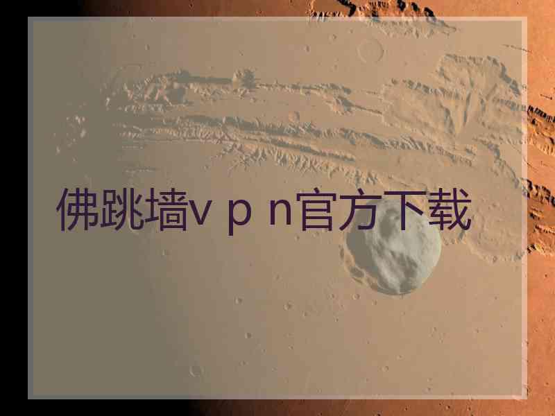 佛跳墙v p n官方下载