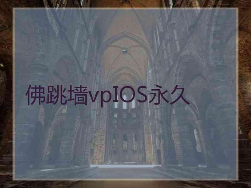 佛跳墙vpIOS永久