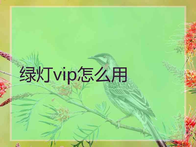 绿灯vip怎么用