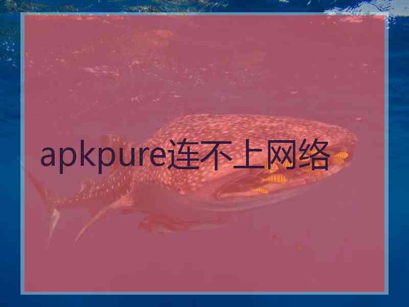 apkpure连不上网络