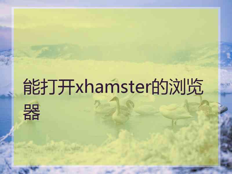 能打开xhamster的浏览器