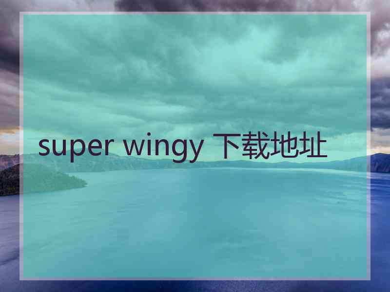 super wingy 下载地址