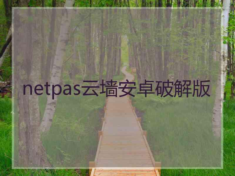 netpas云墙安卓破解版