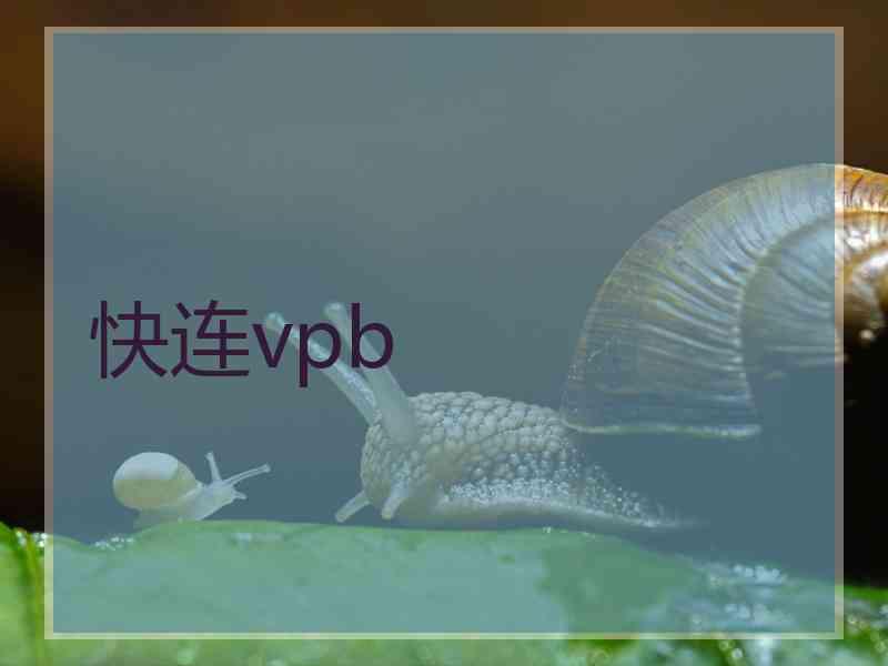 快连vpb