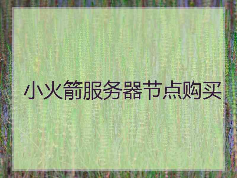 小火箭服务器节点购买