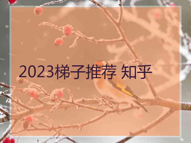 2023梯子推荐 知乎