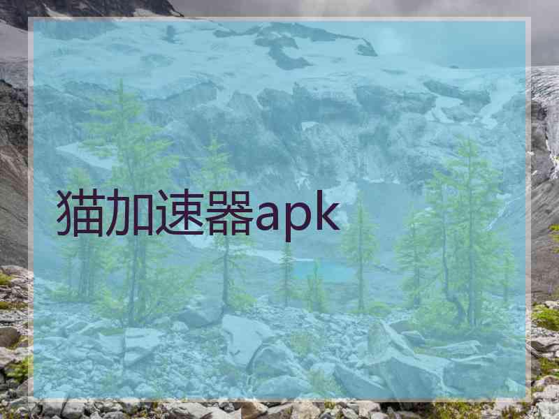 猫加速器apk