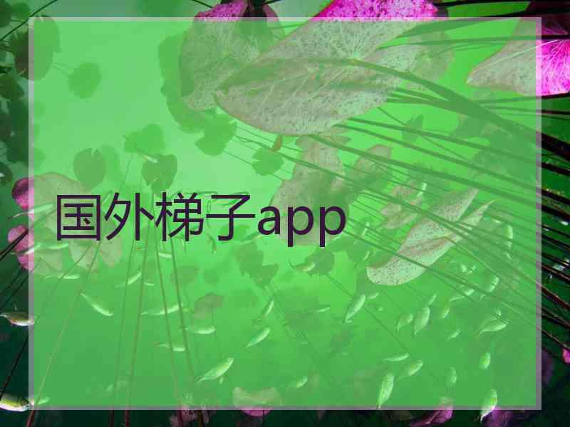 国外梯子app