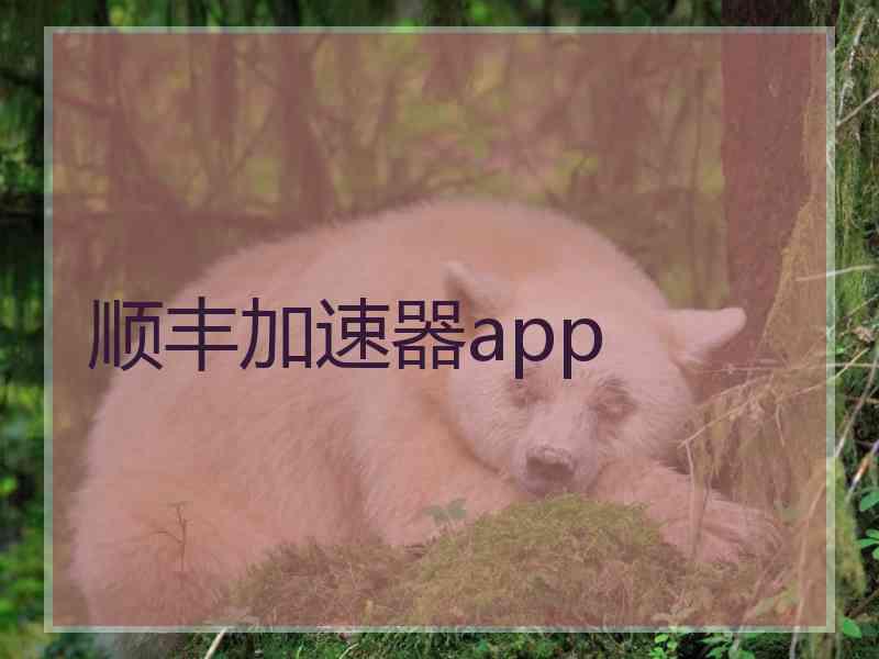 顺丰加速器app