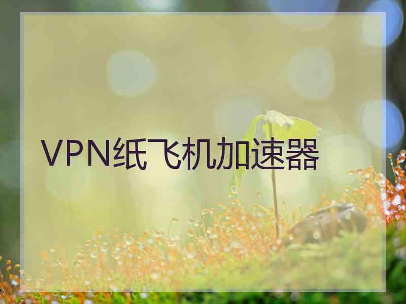 VPN纸飞机加速器