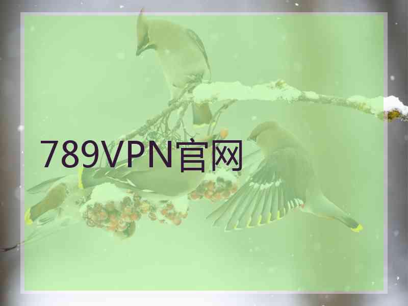 789VPN官网