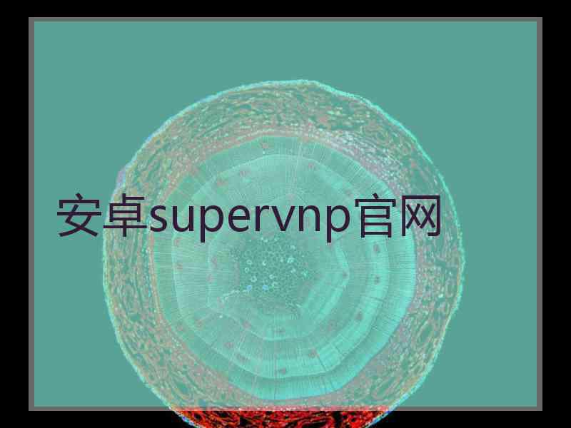 安卓supervnp官网