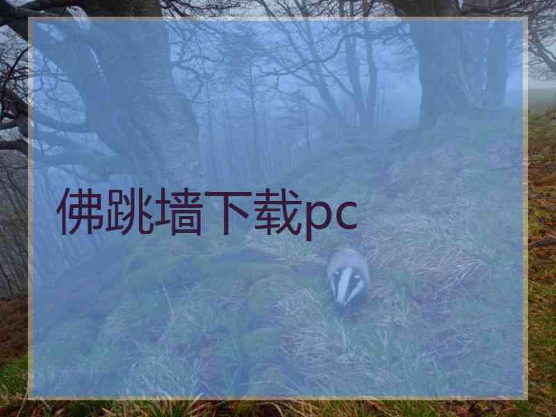 佛跳墙下载pc