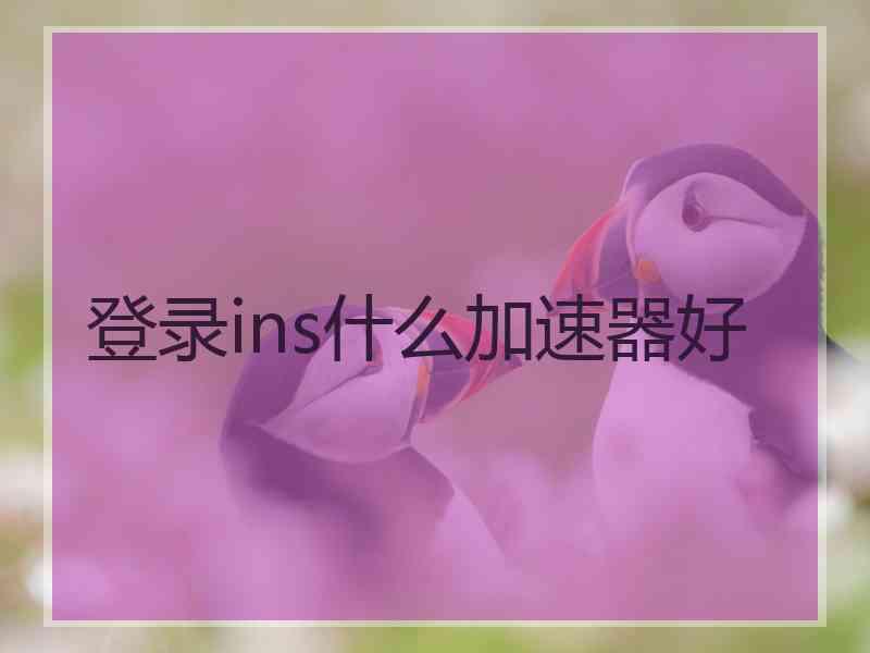 登录ins什么加速器好