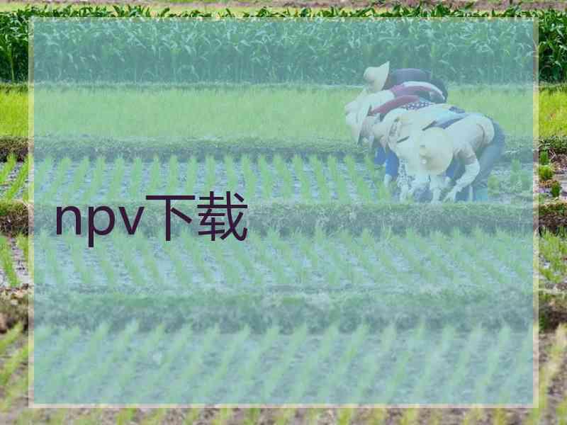 npv下载