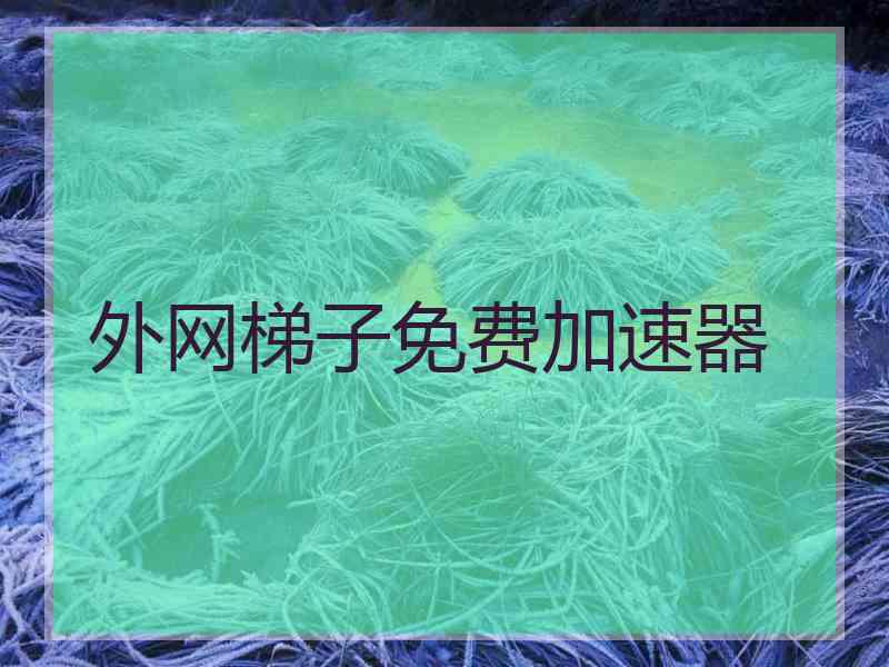 外网梯子免费加速器