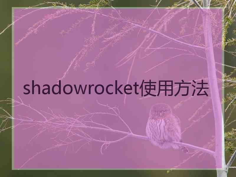 shadowrocket使用方法