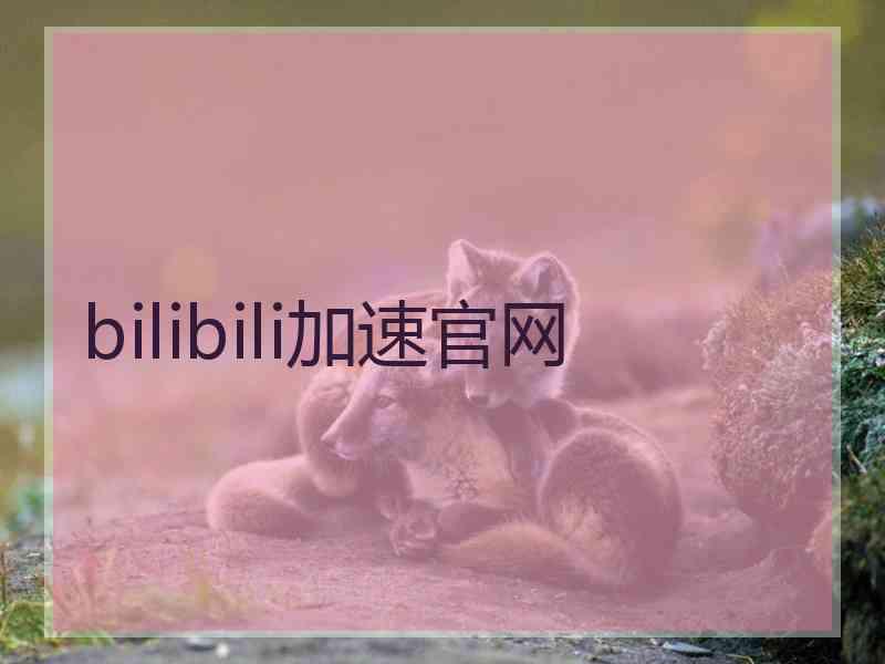 bilibili加速官网