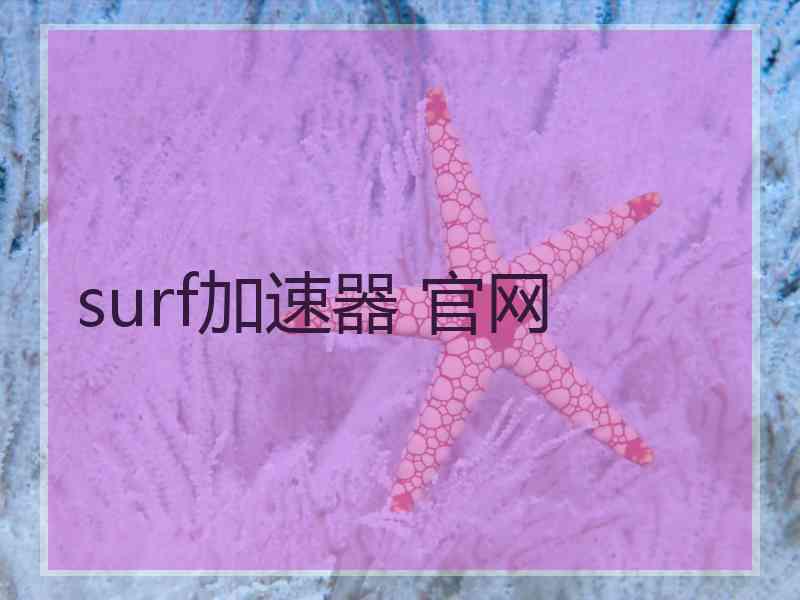 surf加速器 官网