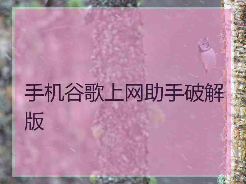 手机谷歌上网助手破解版