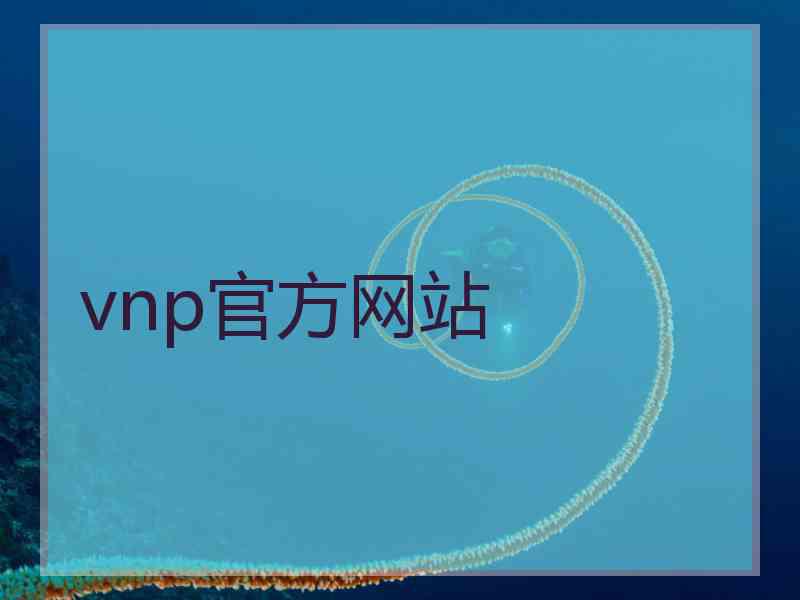 vnp官方网站