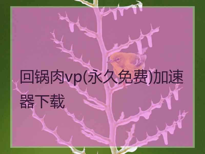 回锅肉vp(永久免费)加速器下载