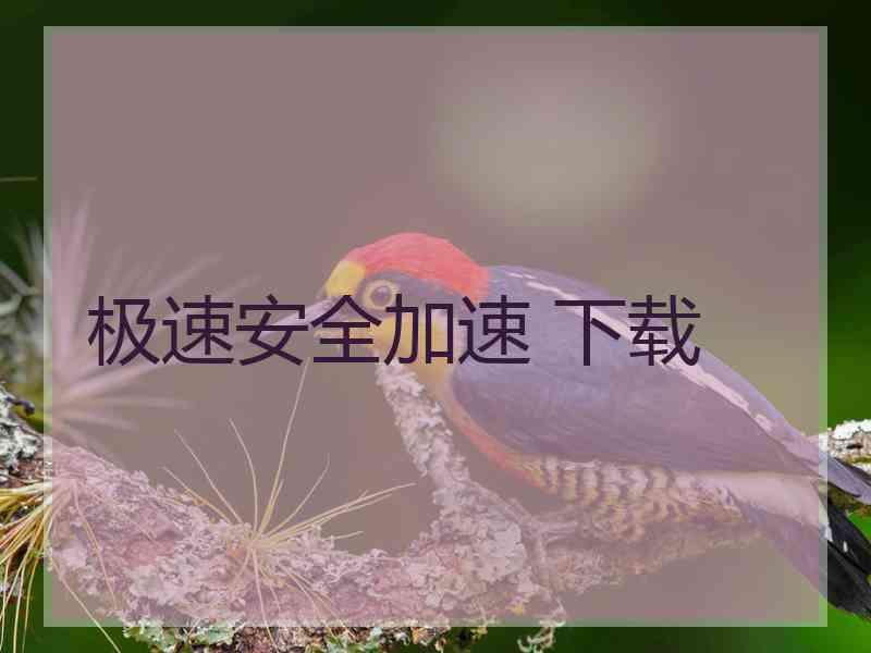 极速安全加速 下载