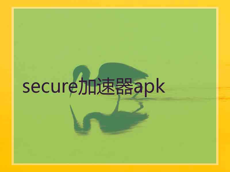 secure加速器apk