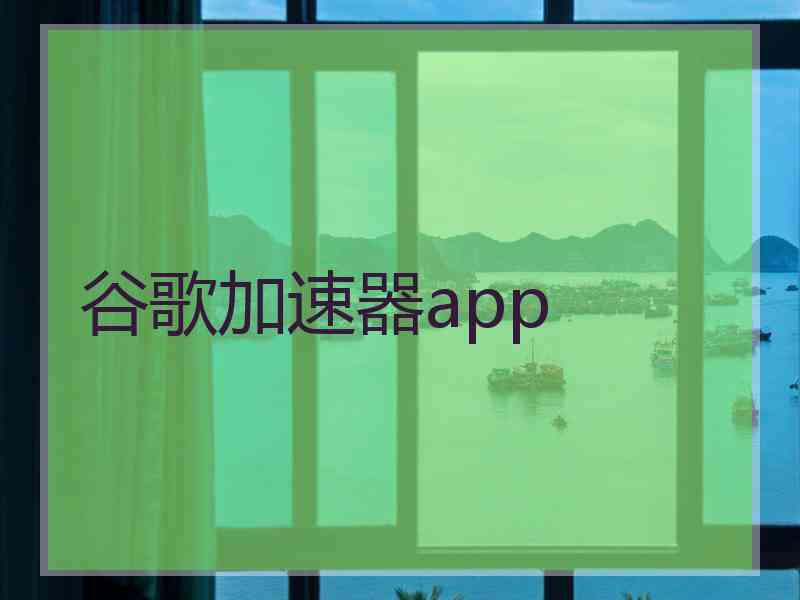 谷歌加速器app