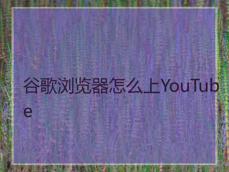 谷歌浏览器怎么上YouTube