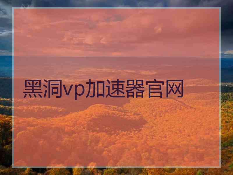 黑洞vp加速器官网