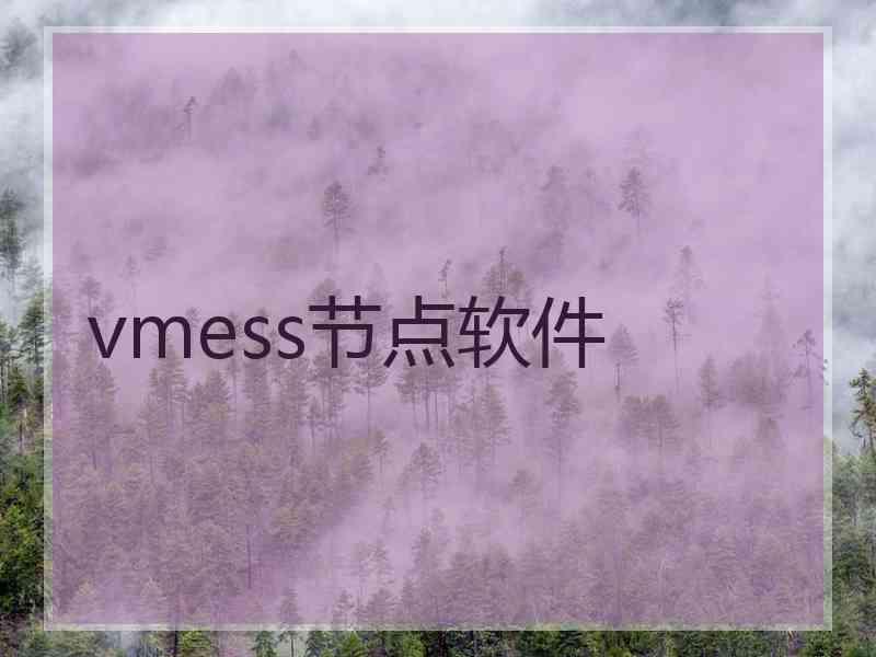 vmess节点软件