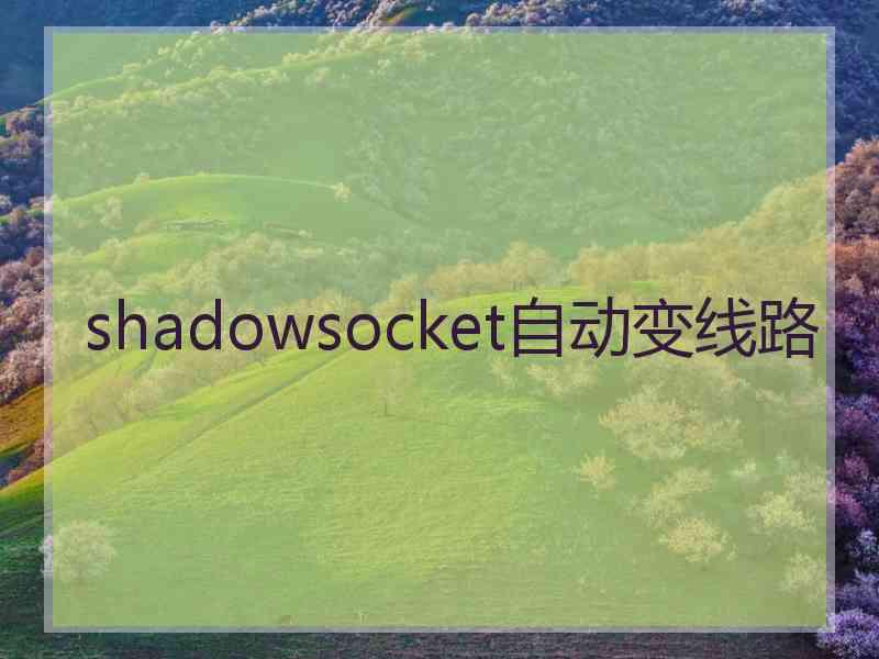 shadowsocket自动变线路