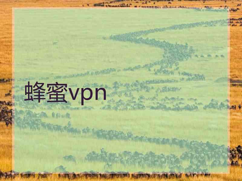 蜂蜜vpn