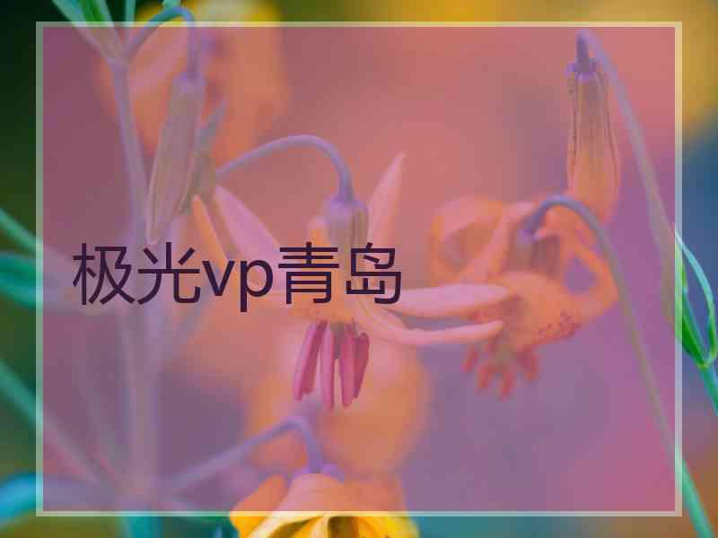 极光vp青岛